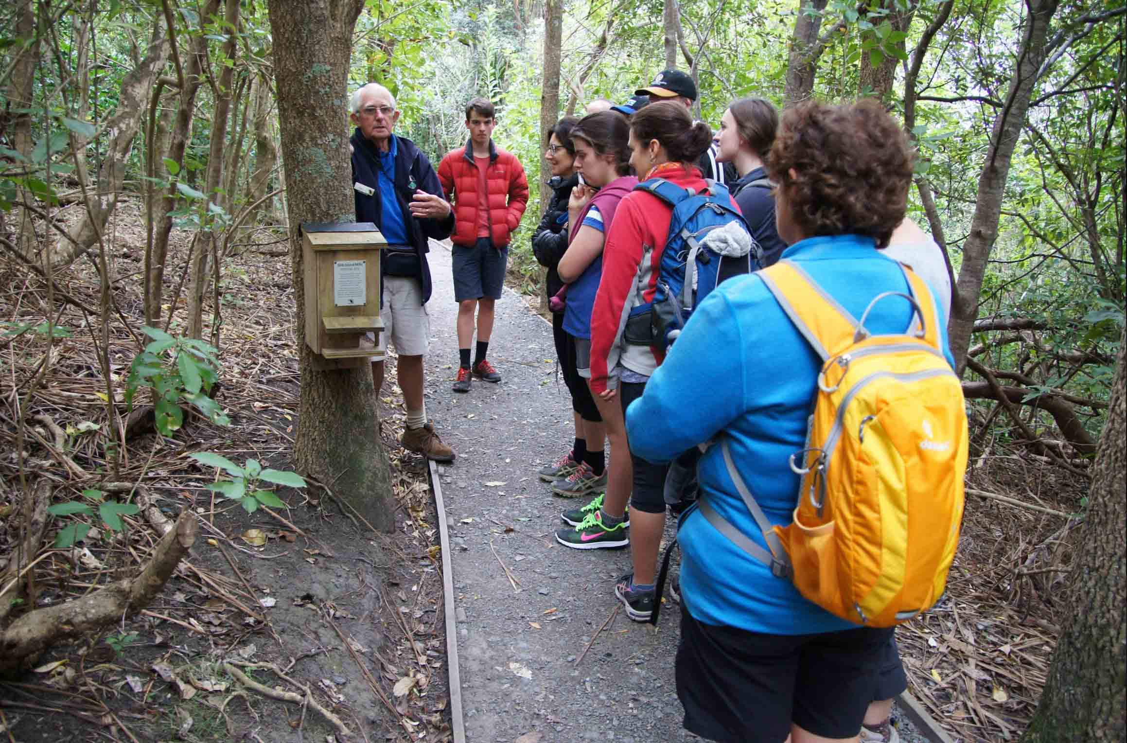 auckland island trip