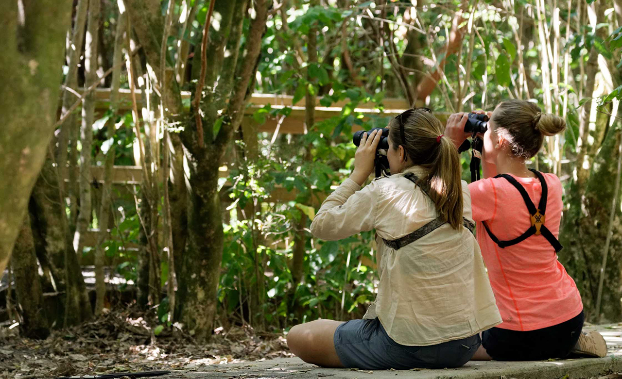 auckland island trip